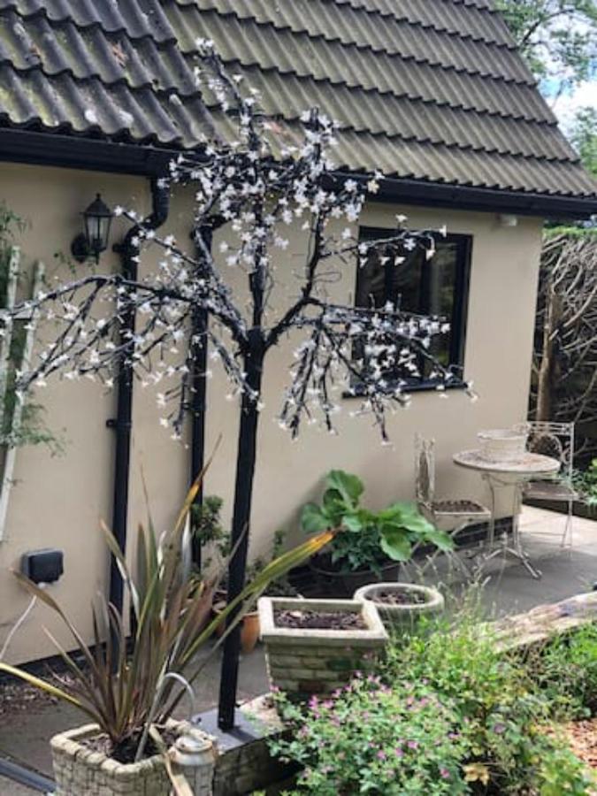 Just A Minim - A Beautiful & Hot Tub Available ! Apartment Rushford (Suffolk)